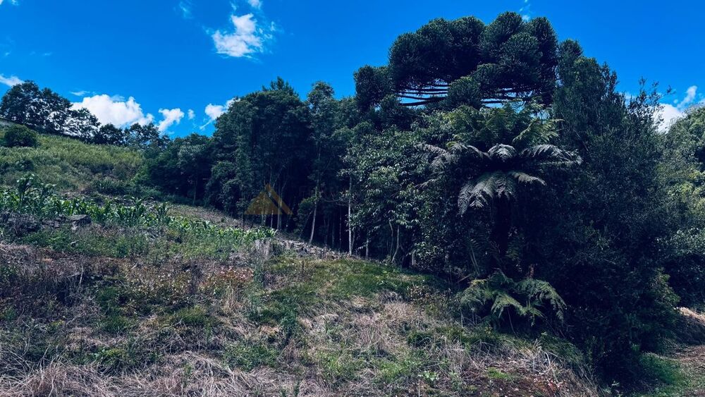 Sítio, 2 quartos, 58000 m² - Foto 16