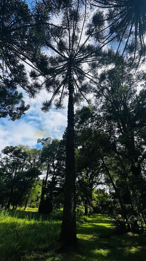 Terreno à venda, 4700m² - Foto 18