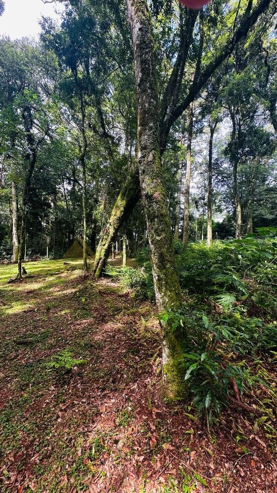 Terreno à venda, 4700m² - Foto 12