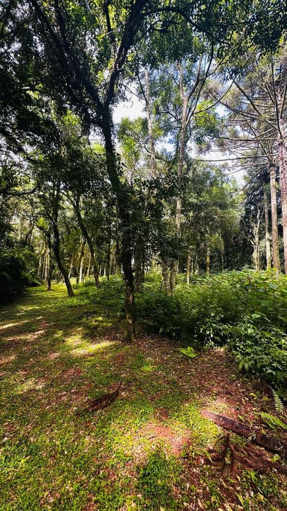 Terreno à venda, 4700m² - Foto 14