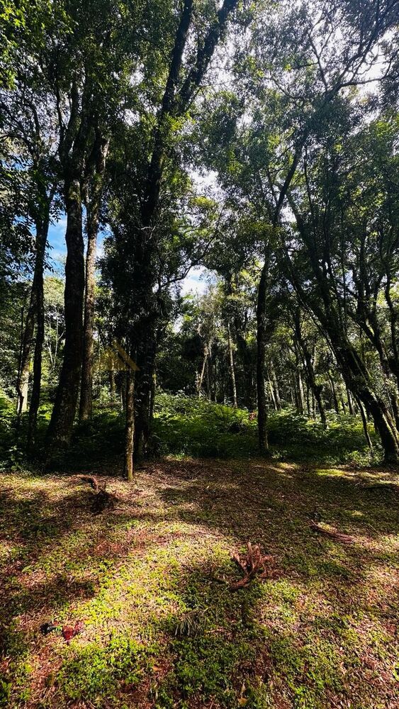 Terreno à venda, 4700m² - Foto 15