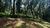 Terreno, 4700 m² - Foto 3