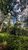 Terreno, 4700 m² - Foto 16