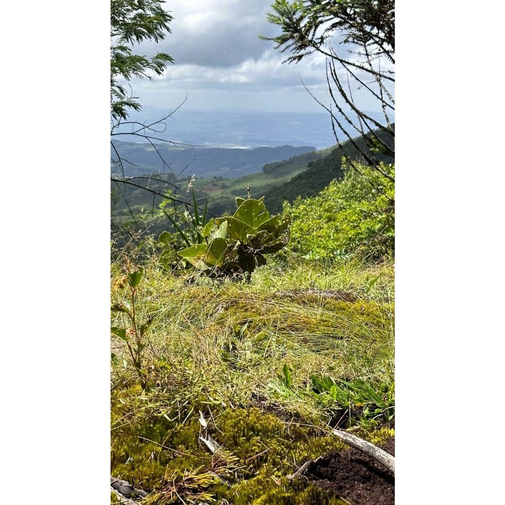Terreno, 1000 m² - Foto 9
