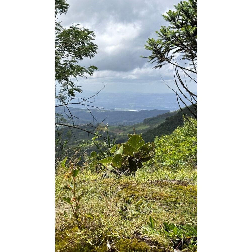 Terreno, 1000 m² - Foto 3