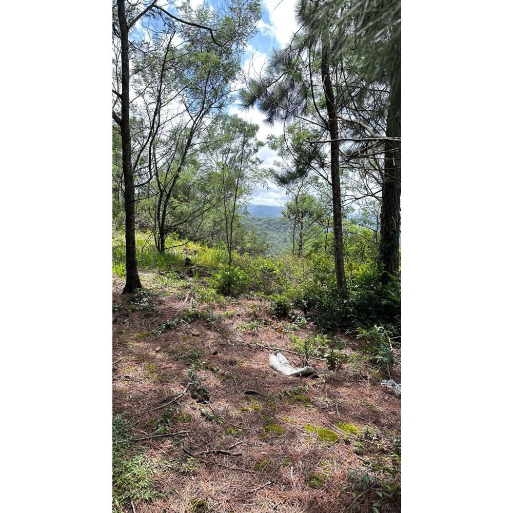 Terreno, 1000 m² - Foto 2