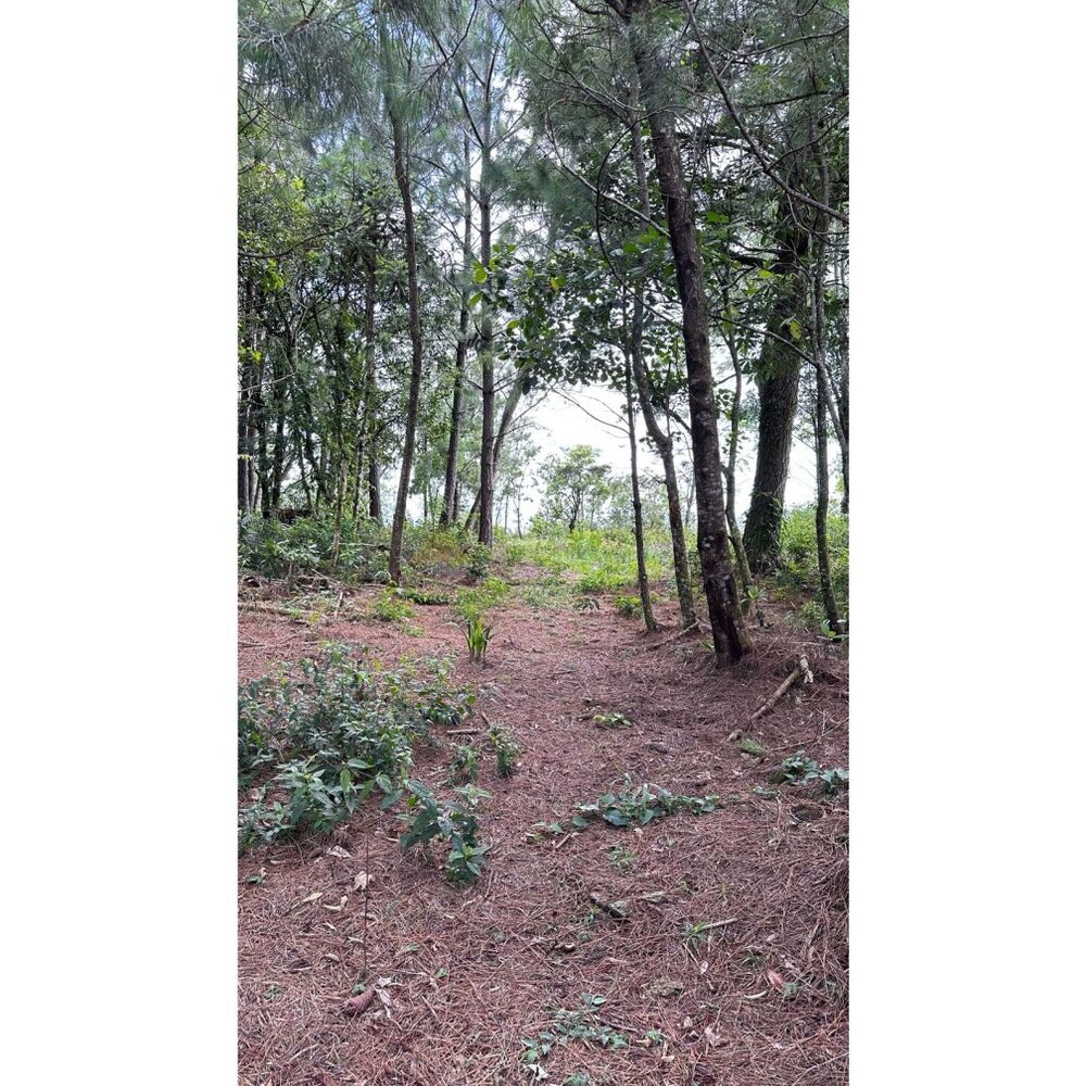 Terreno, 1000 m² - Foto 10