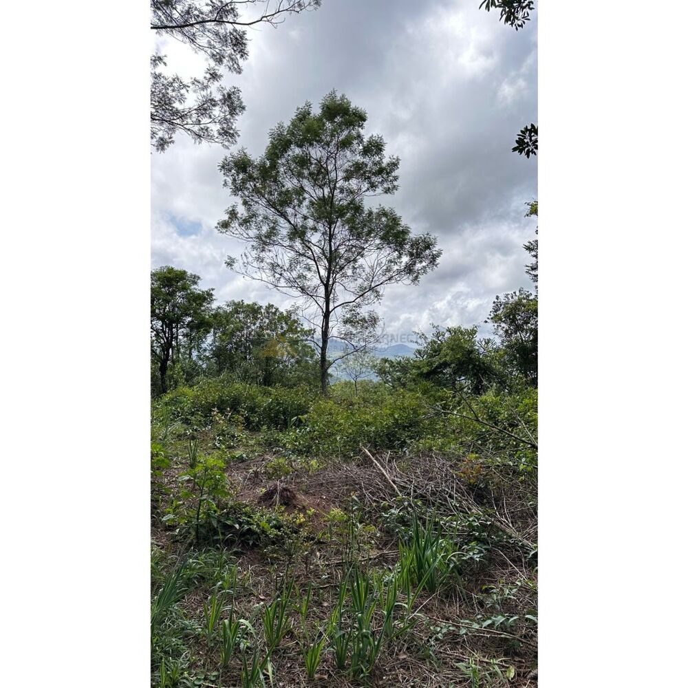 Terreno, 1000 m² - Foto 12