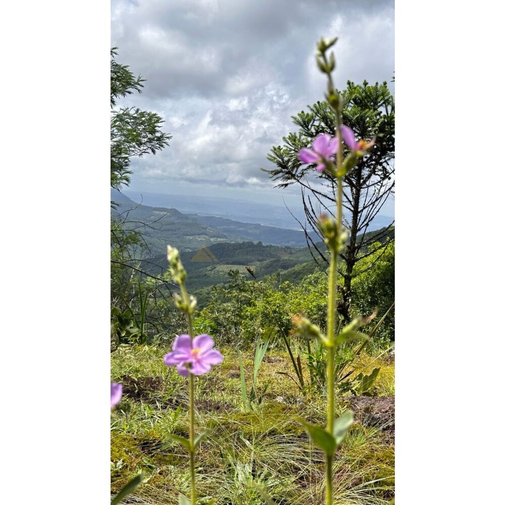 Terreno, 1000 m² - Foto 1
