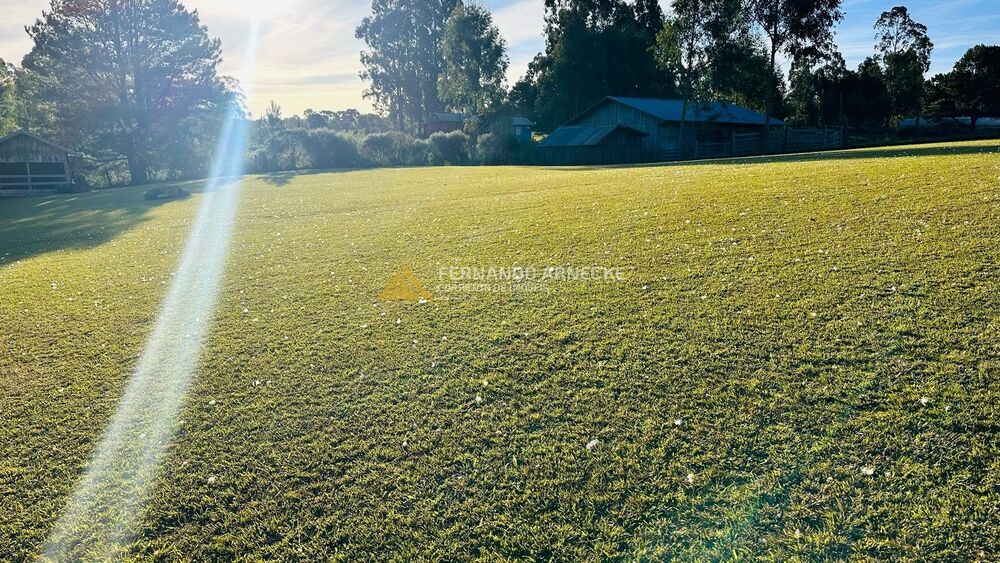 Sítio, 2 quartos, 3 hectares - Foto 24