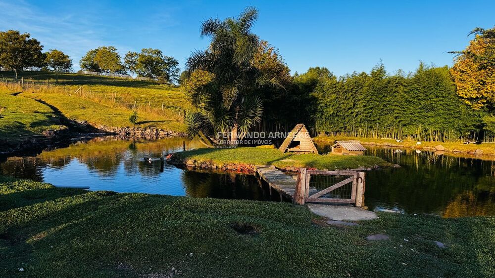 Sítio, 2 quartos, 3 hectares - Foto 3