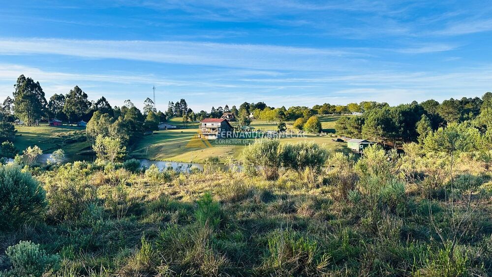 Sítio, 2 quartos, 3 hectares - Foto 8