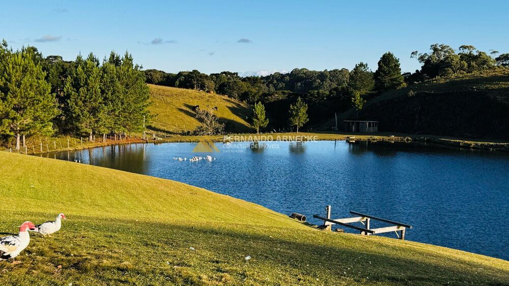 Sítio, 2 quartos, 3 hectares - Foto 32