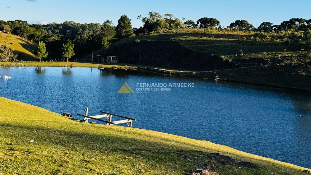 Sítio, 2 quartos, 3 hectares - Foto 31