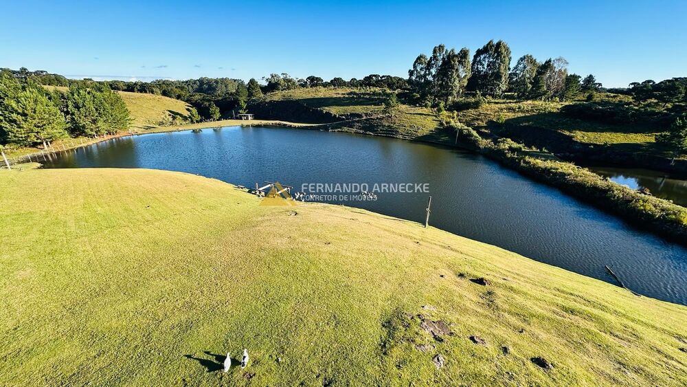 Sítio, 2 quartos, 3 hectares - Foto 29