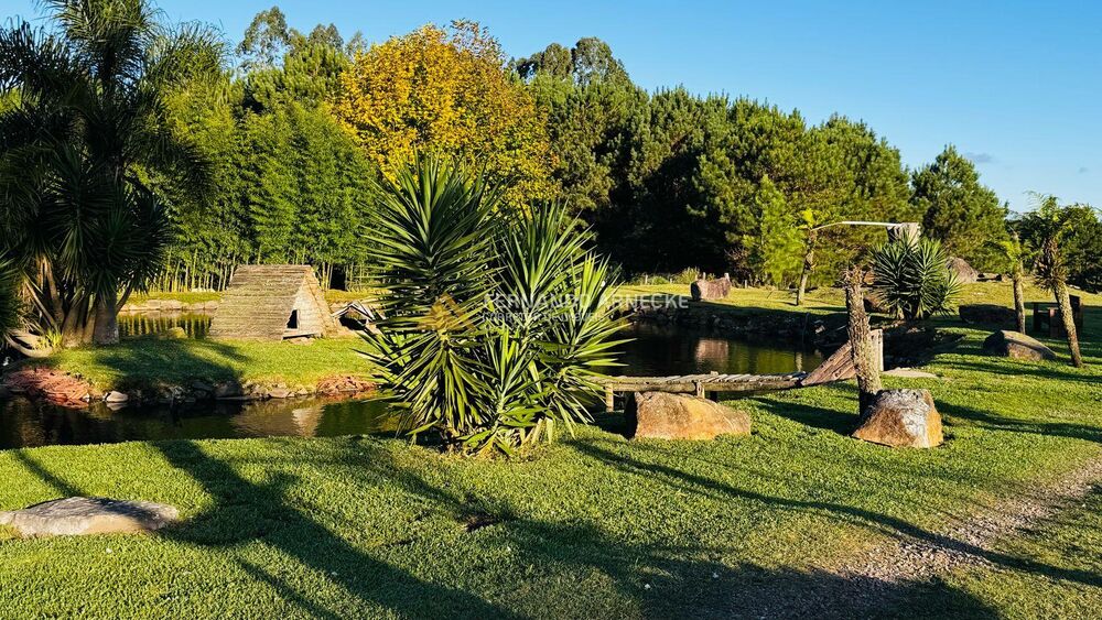 Sítio, 2 quartos, 3 hectares - Foto 52