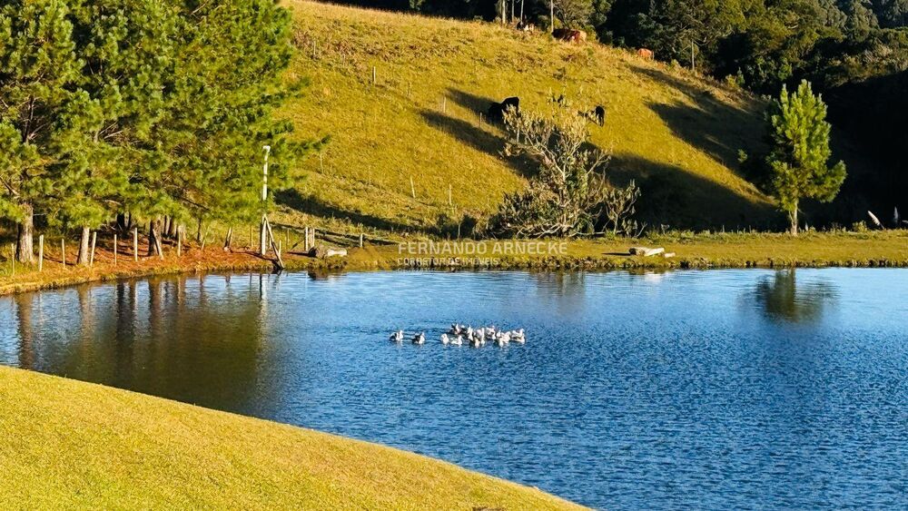 Sítio, 2 quartos, 3 hectares - Foto 33