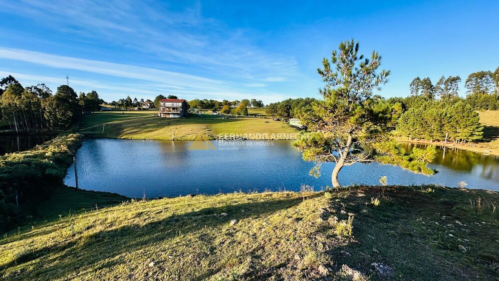 Sítio, 2 quartos, 3 hectares - Foto 4