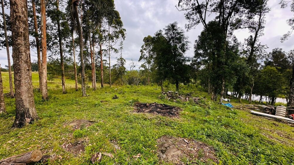 Terreno, 13811 m² - Foto 17