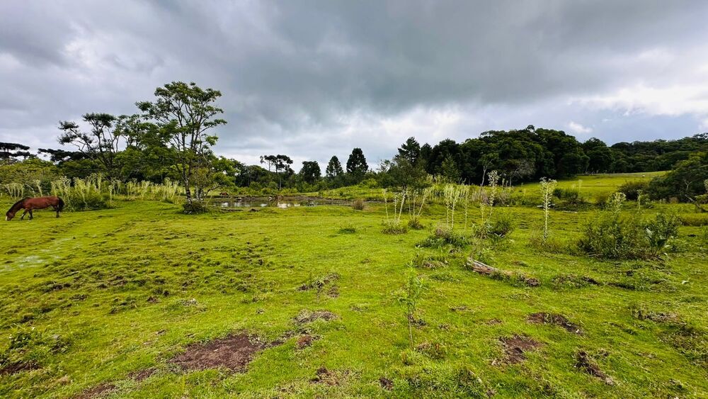 Terreno, 13811 m² - Foto 7