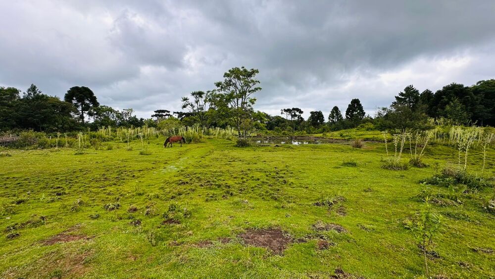 Terreno, 13811 m² - Foto 6