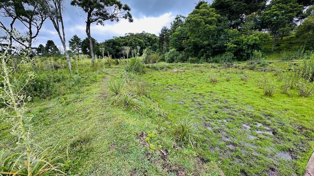 Terreno, 13811 m² - Foto 5