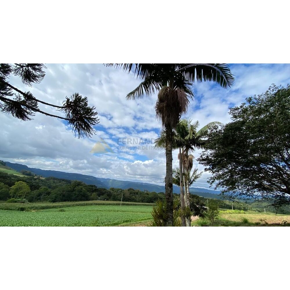 Chácara à venda com 4 quartos, 23000m² - Foto 8