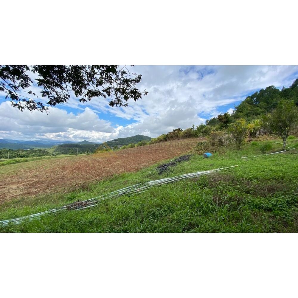 Chácara à venda com 4 quartos, 23000m² - Foto 13