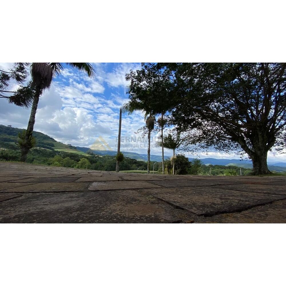 Chácara à venda com 4 quartos, 23000m² - Foto 6