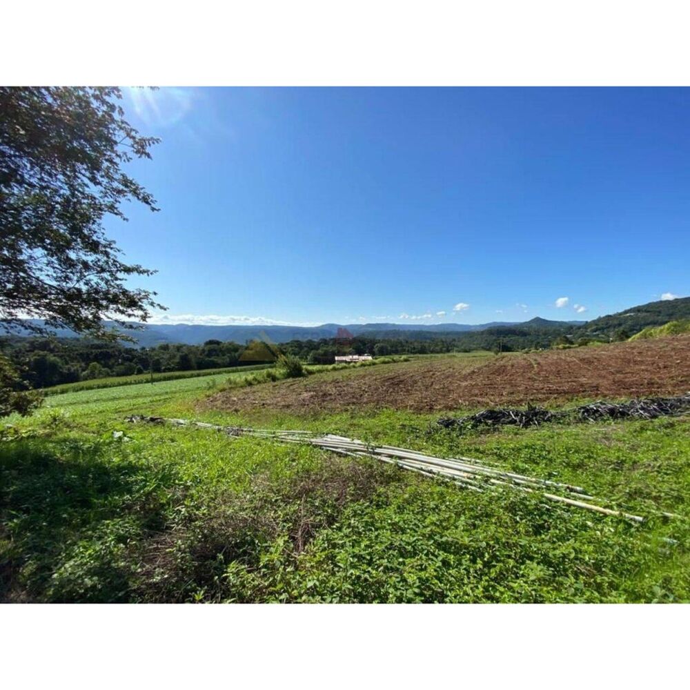 Chácara à venda com 4 quartos, 23000m² - Foto 5