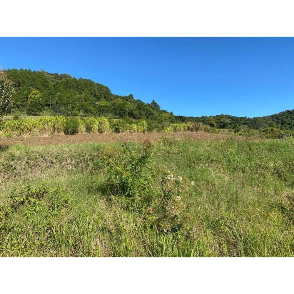Chácara à venda com 4 quartos, 23000m² - Foto 4