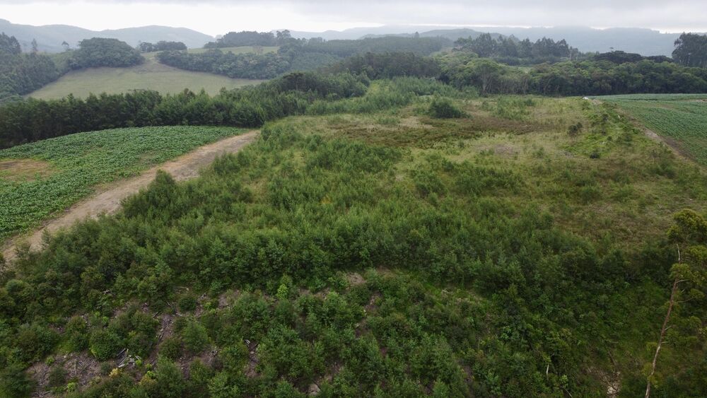 Terreno, 6 hectares - Foto 3