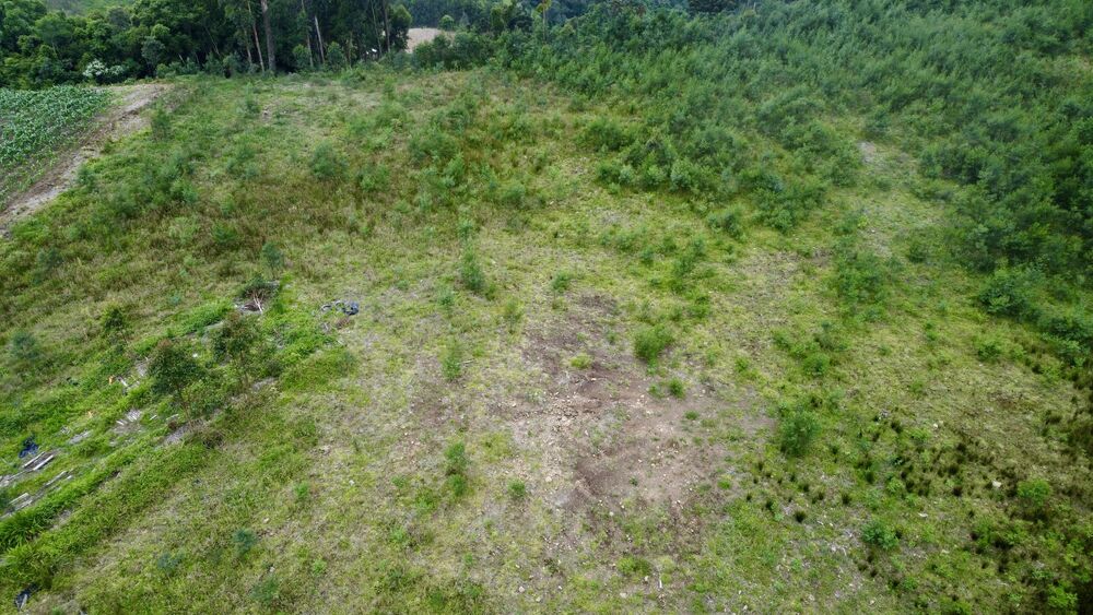 Terreno, 6 hectares - Foto 8