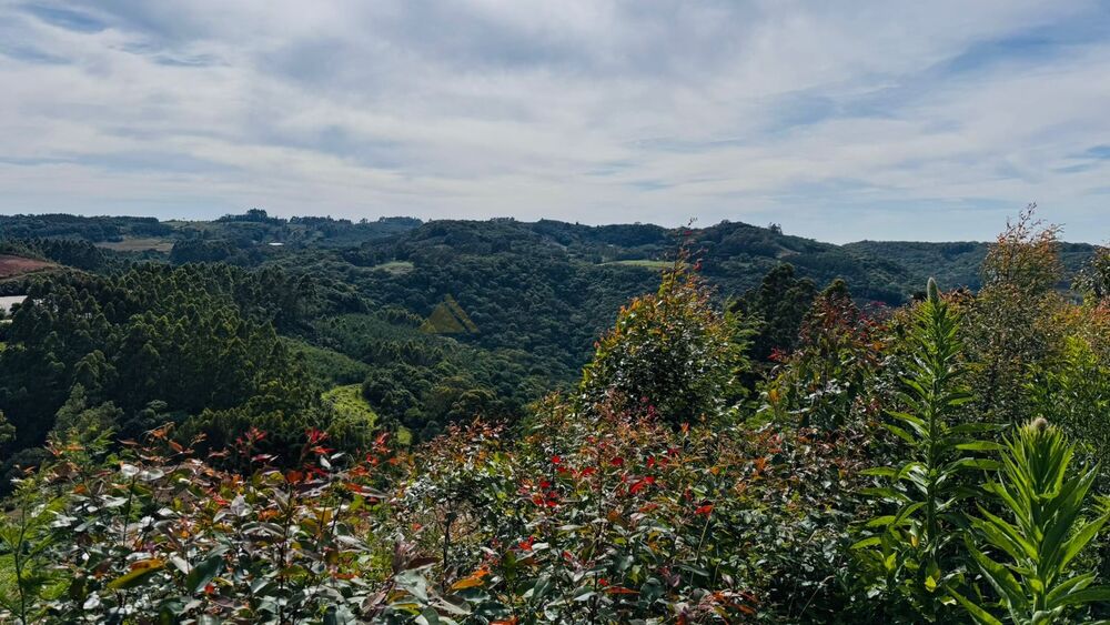 Terreno, 6 hectares - Foto 19