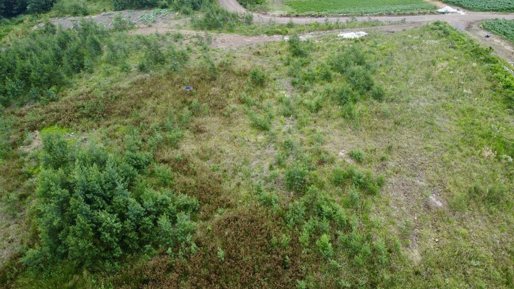 Terreno, 6 hectares - Foto 9