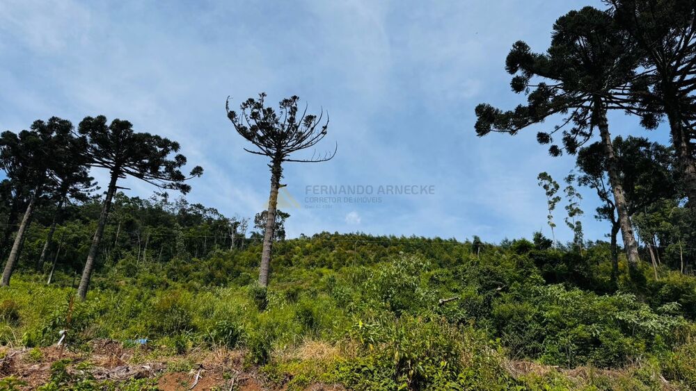 Terreno, 6 hectares - Foto 15