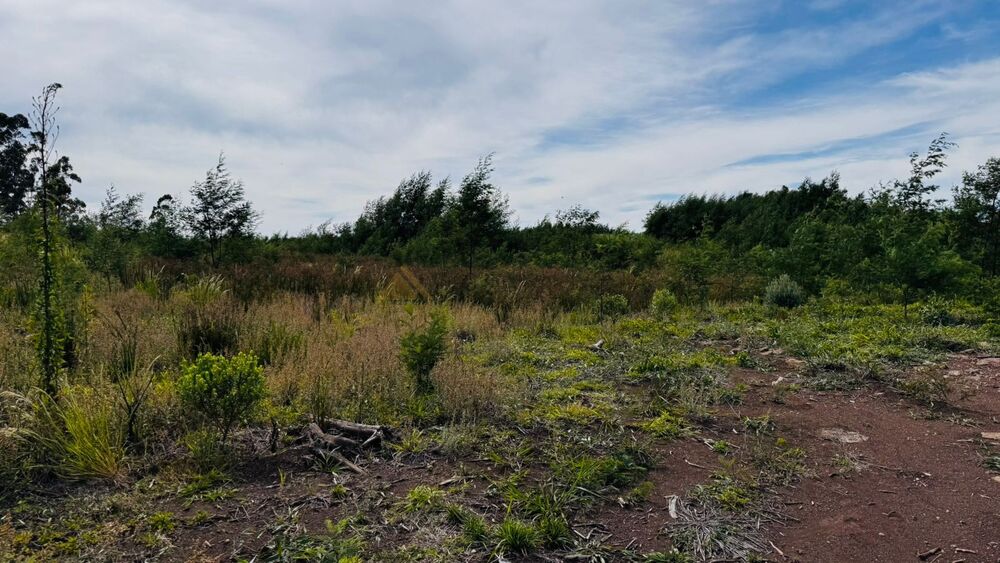 Terreno, 6 hectares - Foto 17