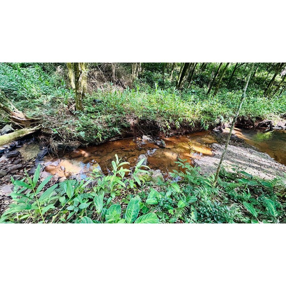 Sítio, 3 quartos, 1 hectares - Foto 13