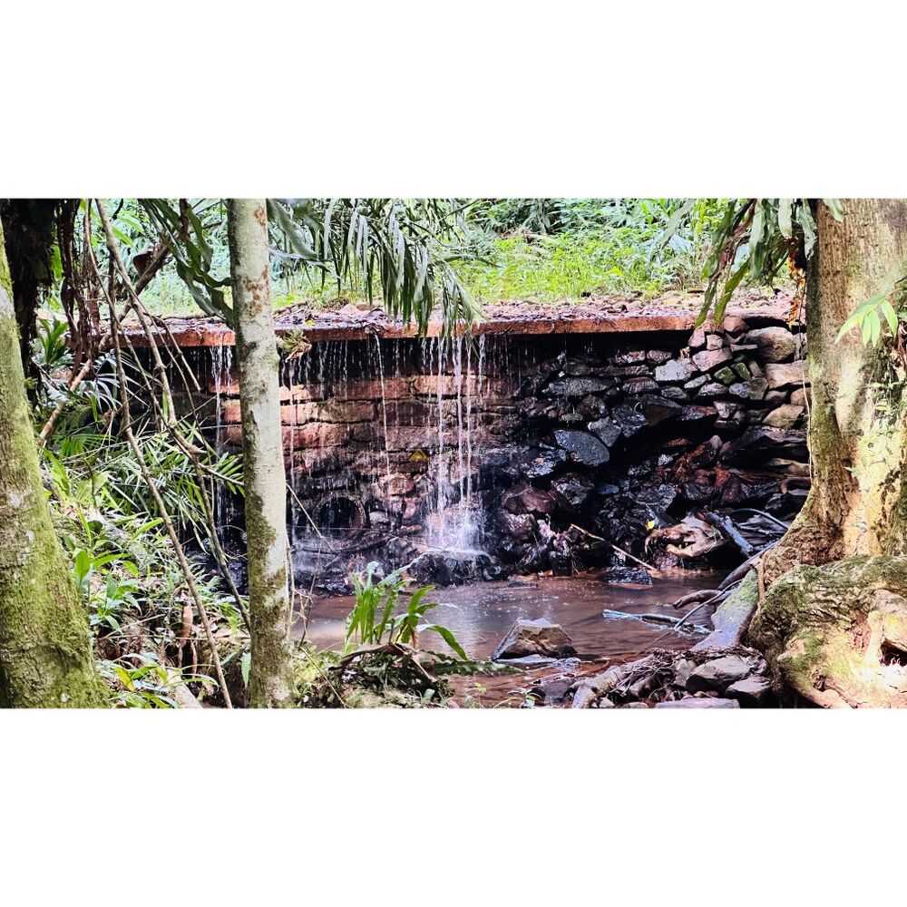 Sítio, 3 quartos, 1 hectares - Foto 12