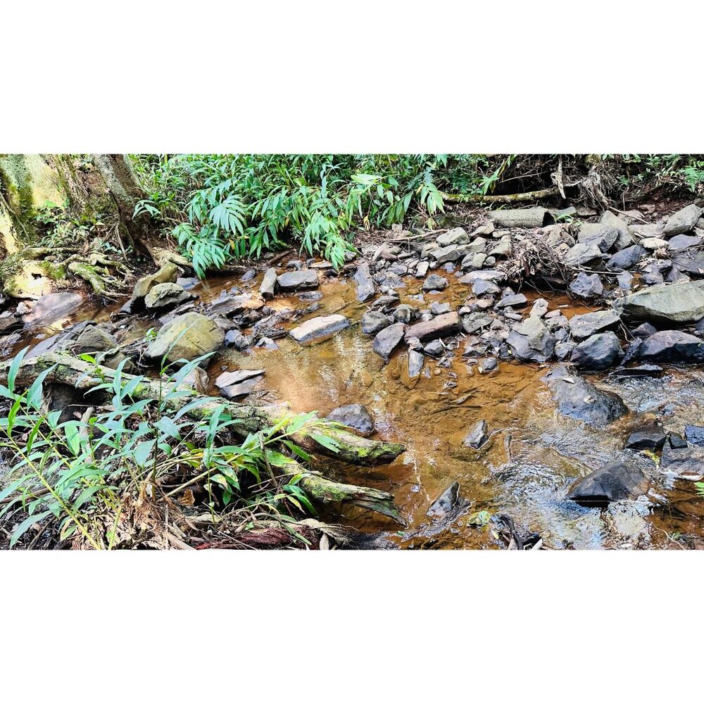 Sítio, 3 quartos, 1 hectares - Foto 49