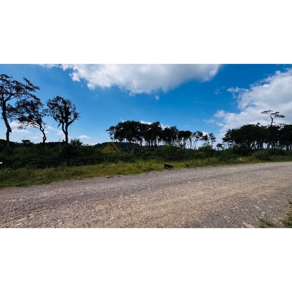 Sítio, 3 hectares - Foto 15