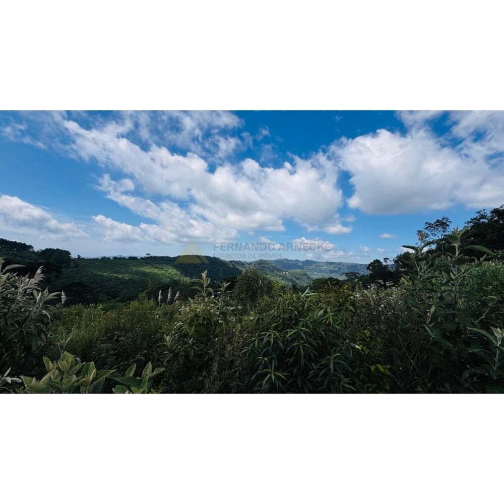 Sítio, 3 hectares - Foto 17