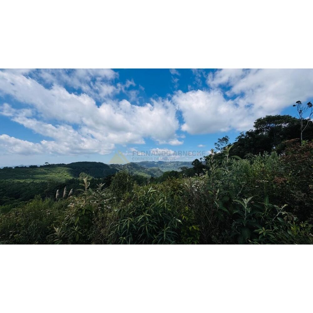 Sítio, 3 hectares - Foto 19