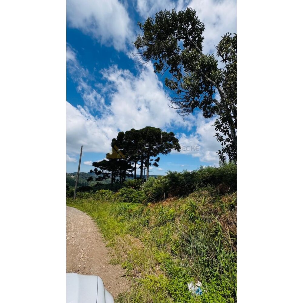 Sítio, 3 hectares - Foto 7