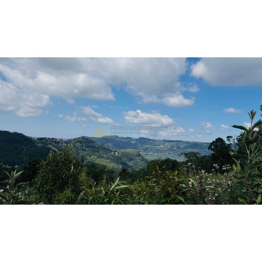 Sítio, 3 hectares - Foto 18