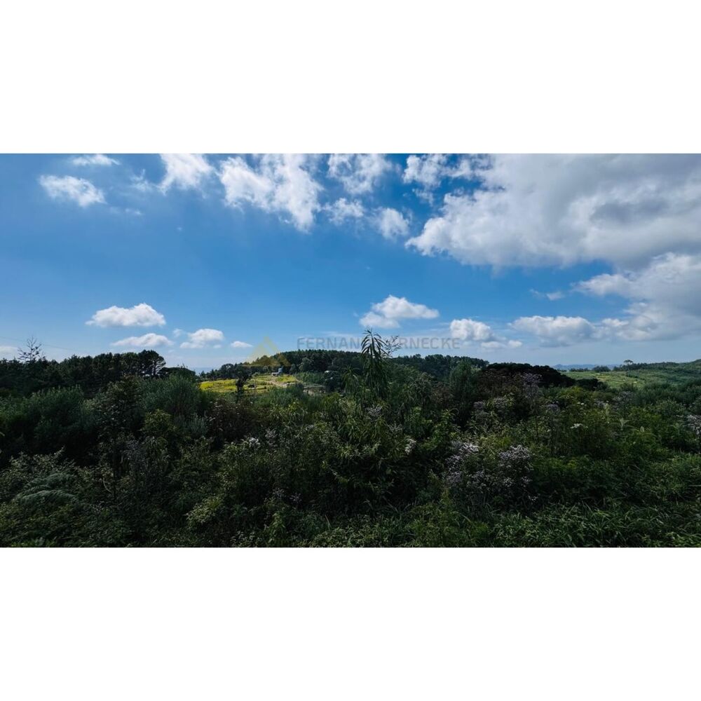 Sítio, 3 hectares - Foto 20