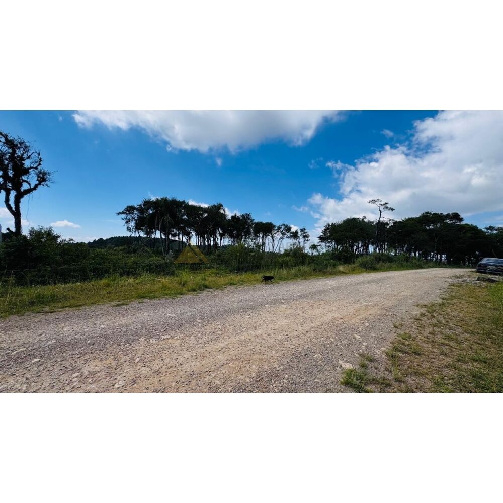 Sítio, 3 hectares - Foto 14