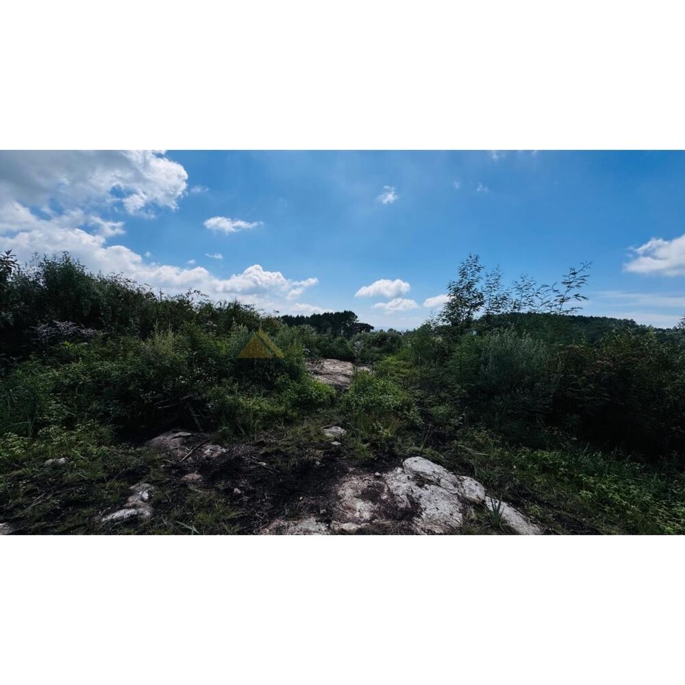 Sítio, 3 hectares - Foto 16