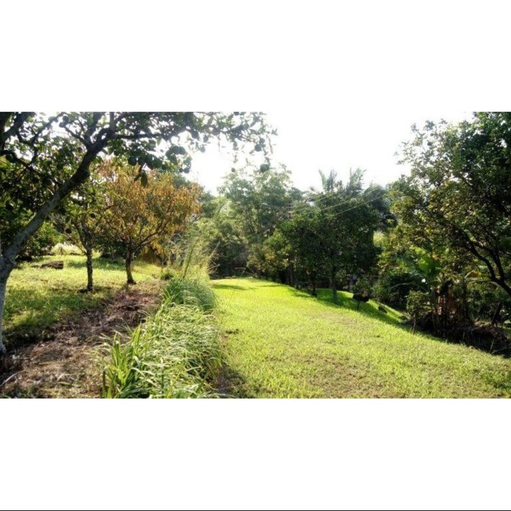 Sítio, 8 quartos, 4 hectares - Foto 15