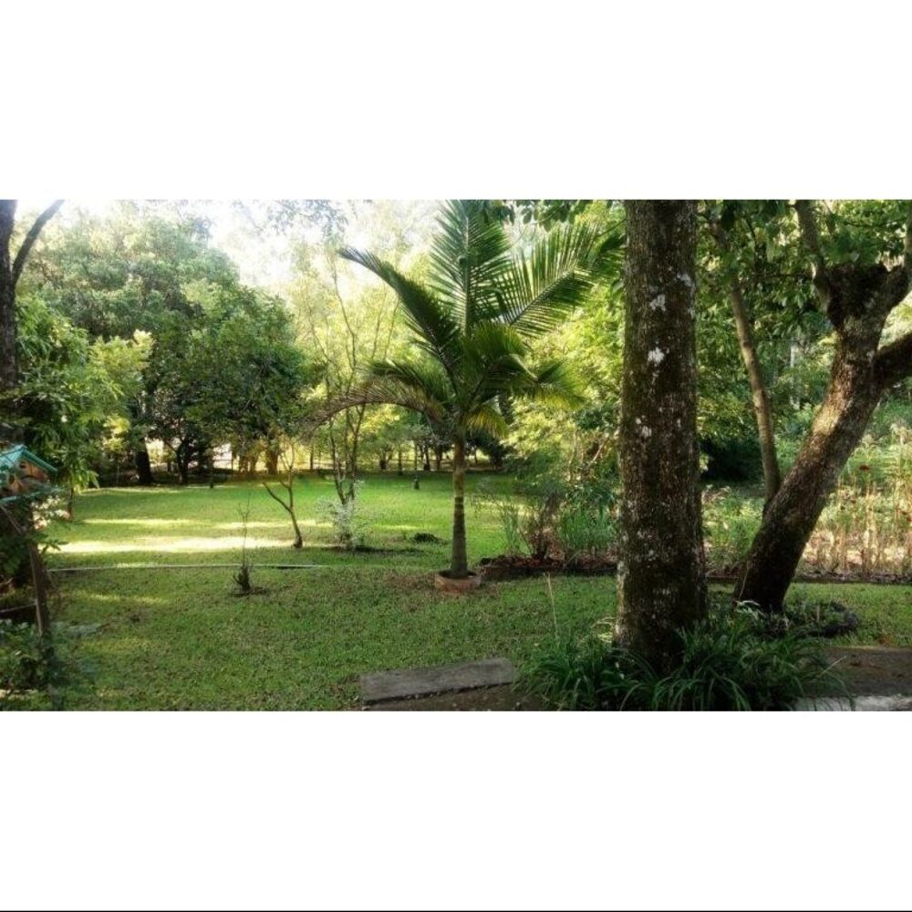 Sítio, 8 quartos, 4 hectares - Foto 11